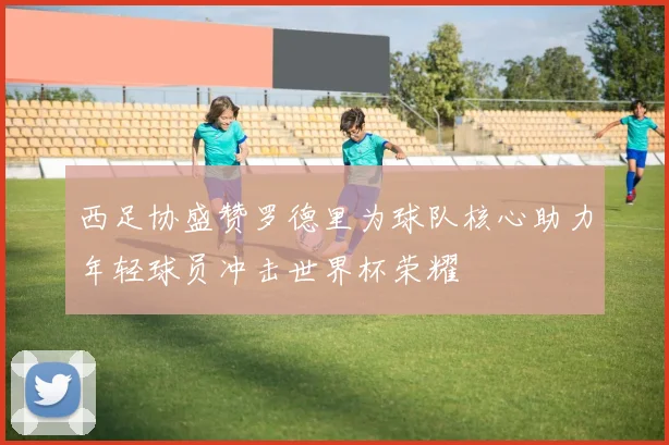 西足协盛赞罗德里为球队核心助力年轻球员冲击世界杯荣耀