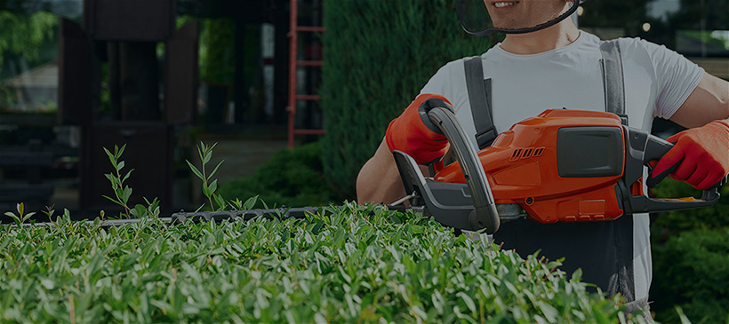 Jardinería, limpieza y mantenimiento