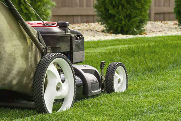 Mantenimiento áreas verdes