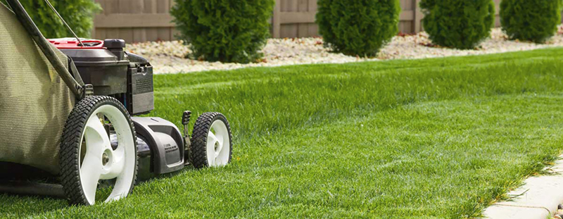 Mantenimiento de áreas verdes